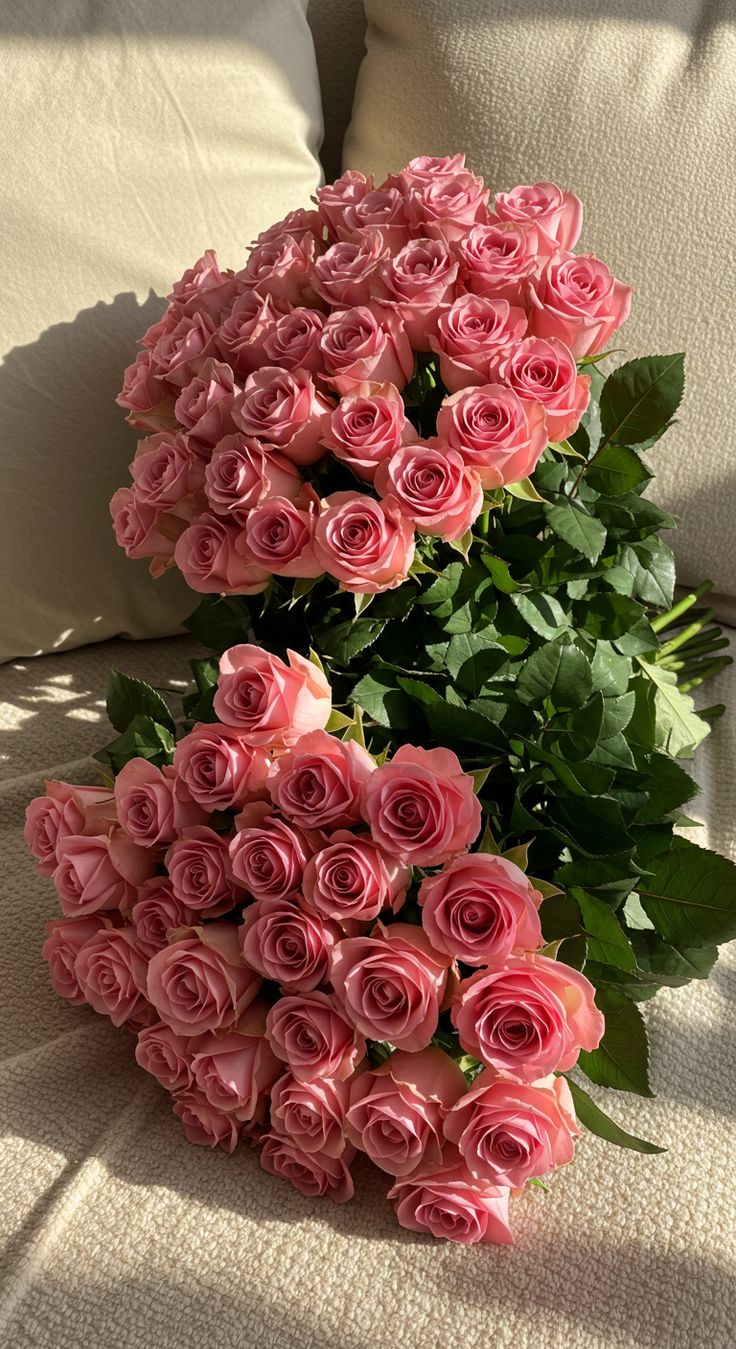 100 Pink Roses Long Stem Roses