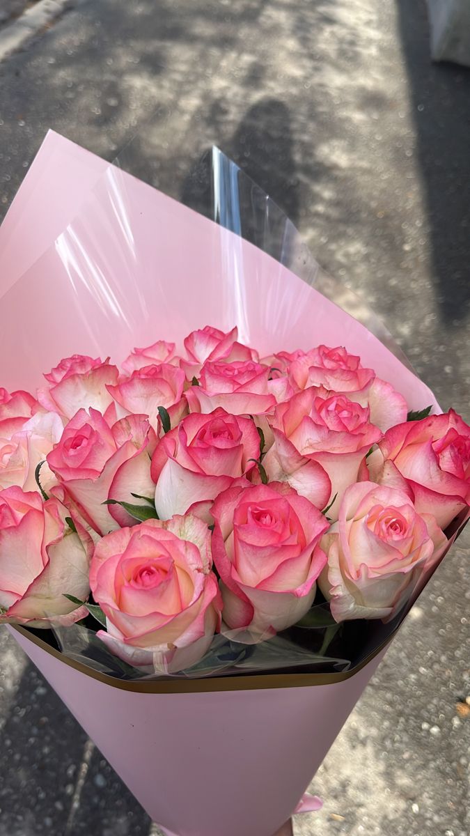 20 Pink Roses Long Stem Roses