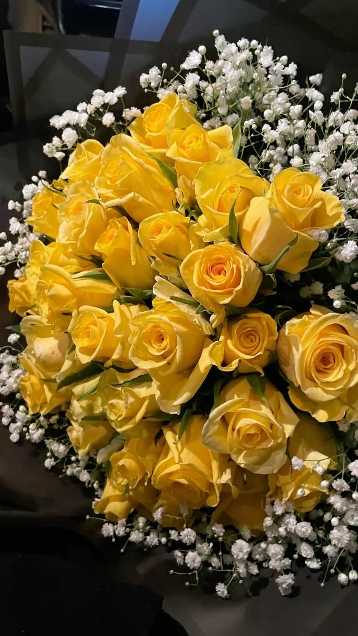 Yellow Rose Collection