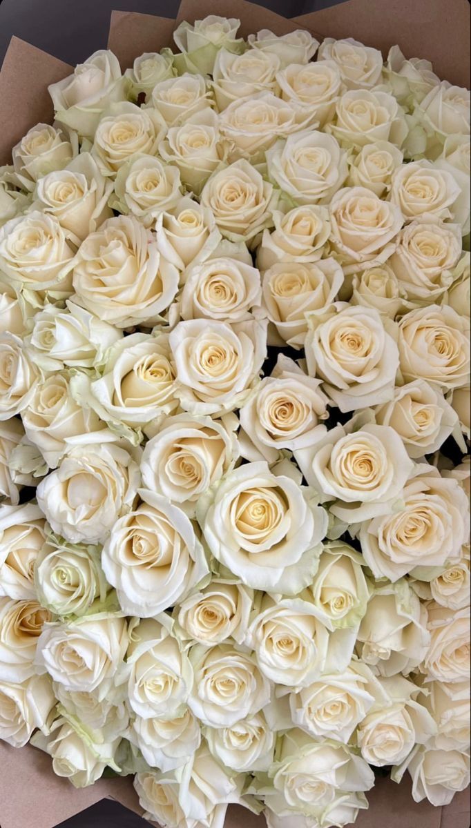 100 White long stem Rose Bouquet